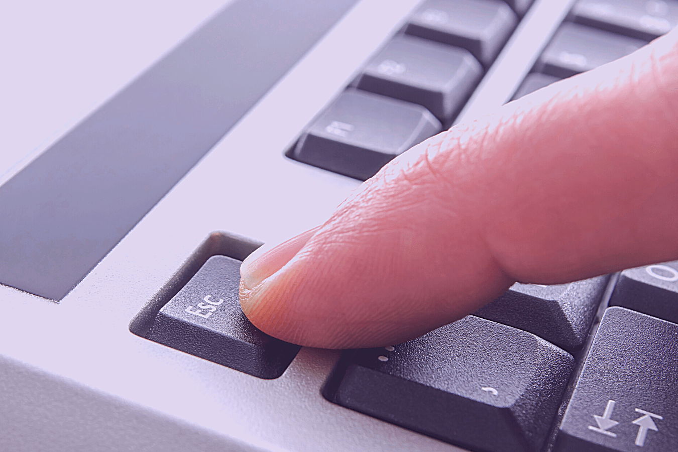 Kochanko- ewakuuj się i uciekaj z tego uwikłania